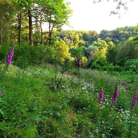 La Cabane Des Beaux Chenes Evrunes Kültér fotó