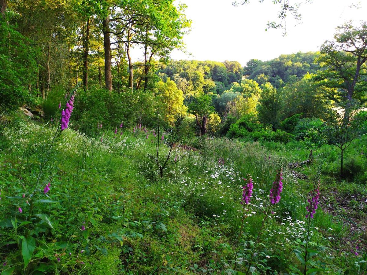 La Cabane Des Beaux Chenes Evrunes Kültér fotó